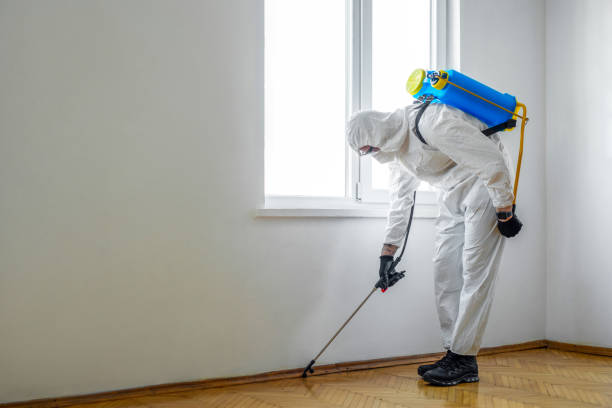 Trusted La Grange, KY Pest Control Experts